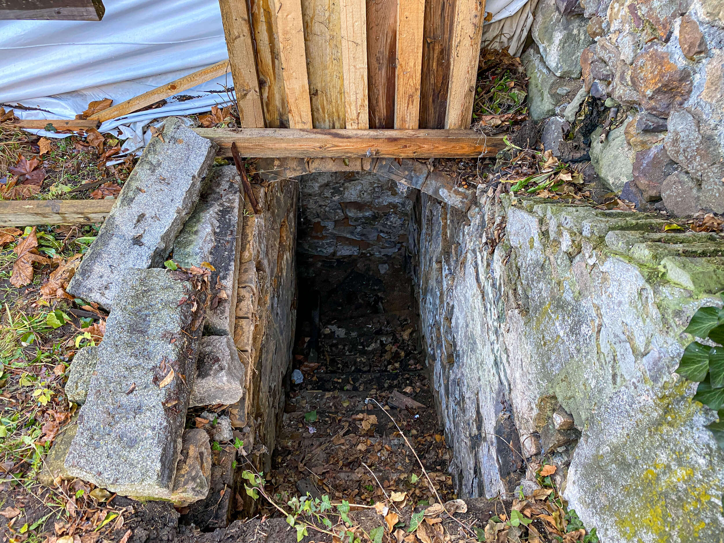 Alte Treppe in den Keller